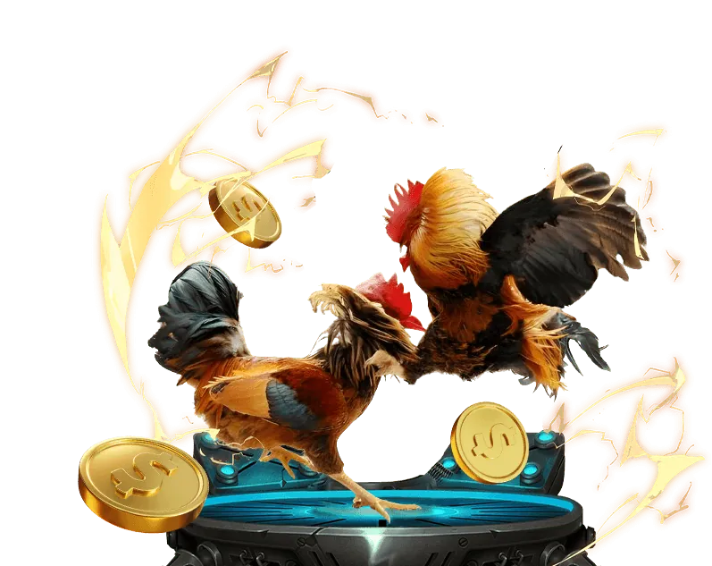 Tài liệu điều khoản dịch vụ của nhất víp